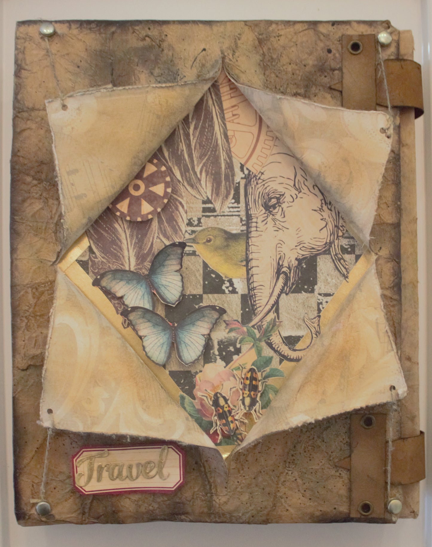 Maxi Album Curiosity